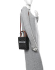 Triomphe Canvas Calfskin Mini Vertical Cabas Tan
