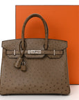 Ostrich Birkin 30 Mousse