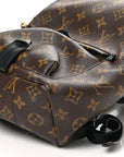 Monogram Palm Springs Backpack PM