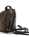 Monogram Palm Springs Backpack Mini