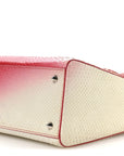 Snakeskin Ombre Medium Lady D1OR Red White