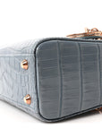 Alligator Crystal Mini Lady D1OR Blue