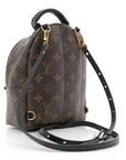 Monogram Palm Springs Backpack Mini