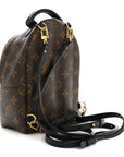 Monogram Palm Springs Backpack Mini