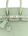 Matte Alligator Birkin Sellier 25 Vert D'eau
