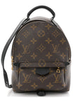 Monogram Palm Springs Backpack Mini