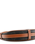 Canvas Calfskin Mini Ava Triomphe Shoulder Bag Tan