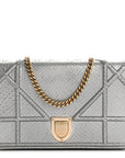 Snakeskin D1ORama Wallet on Chain Pouch Silver