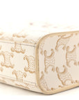 Triomphe Canvas Calfskin Mini Vertical Cabas White