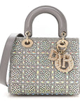 Calfskin Satin Celestial Bead Embroidery Embroidered Small Lady D1OR Grey Multicolor