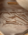 Satin Crystal Mini Re-Edition 2000 Bag Platino