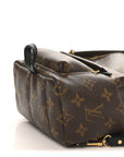 Monogram Palm Springs Backpack Mini