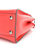 Vitello Seta Nappa Mini Plexi Handle Peekaboo Iconic Satchel Pomodoro