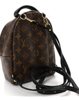 Monogram Palm Springs Backpack Mini