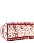 Canvas Embroidered Medium D1ORamour D-Royaume Lady D-Lite Red Multicolor