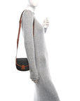 Canvas Calfskin Triomphe Mini Besace Tan