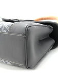 Goyardine Mini Saigon Grey