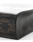 Triomphe Canvas Calfskin Mini Vertical Cabas Tan