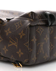 Monogram Palm Springs Backpack Mini
