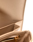 Shiny Calfskin Medium Triomphe Nude