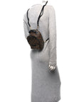 Monogram Palm Springs Backpack Mini