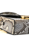 Snakeskin 30 Montaigne Box Bag Beige Multicolor