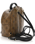 Reverse Monogram Palm Springs Backpack Mini