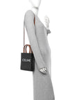 Triomphe Canvas Calfskin Mini Vertical Cabas Tan