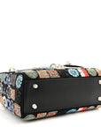 Satin Lambskin Embroidered Beaded Mini Lady D1OR Black Multicolor