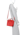 Drummed Calfskin Nano Luggage Vermillion