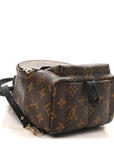 Monogram Palm Springs Backpack Mini