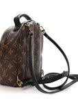 Monogram Palm Springs Backpack Mini