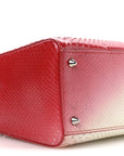 Snakeskin Ombre Medium Lady D1OR Red White