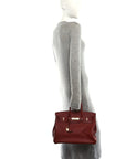 Togo Verso Birkin 35 Brique Ebene