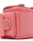 Shiny Lambskin Quilted Trendy Pockets Hobo Coral Pink