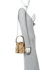 Raffia Lurex Vitello Laminato F is FNDI FF Crochet Mini Mon Tresor Bucket Bag Natural Oro