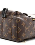Monogram Palm Springs Backpack Mini