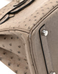 Ostrich Birkin 30 Mousse