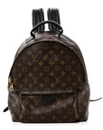 Monogram Palm Springs Backpack MM