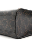 Triomphe Canvas Calfskin Small Vertical Cabas Tan