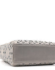 Satin Crystal Cannage Mini Lady D1OR Gray
