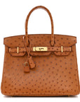 Ostrich Birkin 30 Cognac