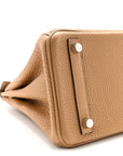 Togo Birkin 25 Biscuit