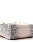 Lizard Ombre Mini Lady D1OR Light Pink