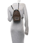 Monogram Palm Springs Backpack Mini