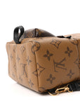 Reverse Monogram Palm Springs Backpack Mini