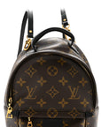 Monogram Palm Springs Backpack Mini
