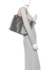 Goyardine Saint Louis PM PM Black Gold