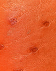 Ostrich Alma BB Piment