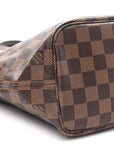 Damier Ebene Neo Neverfull PM
